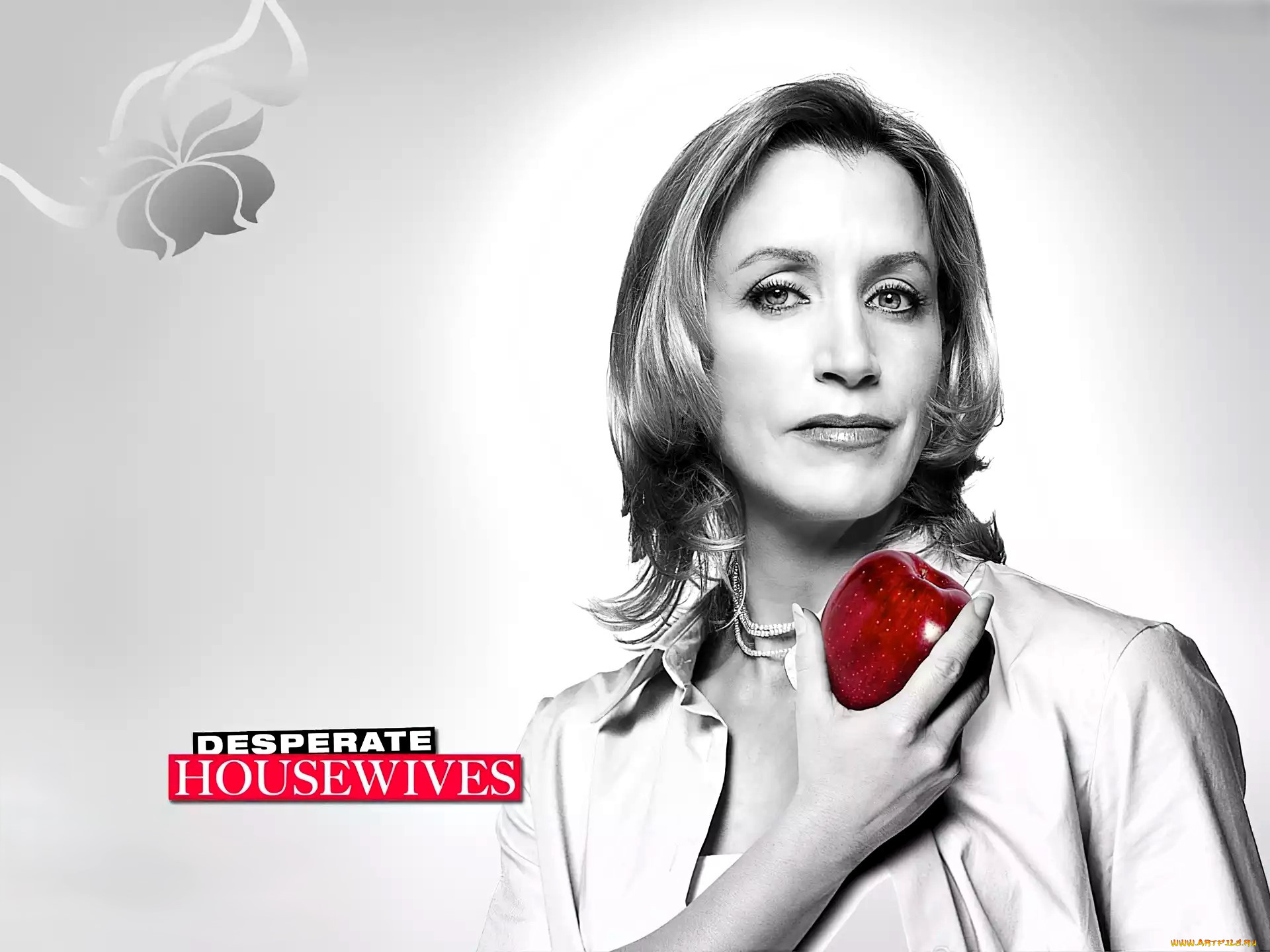  , desperate housewives, , 